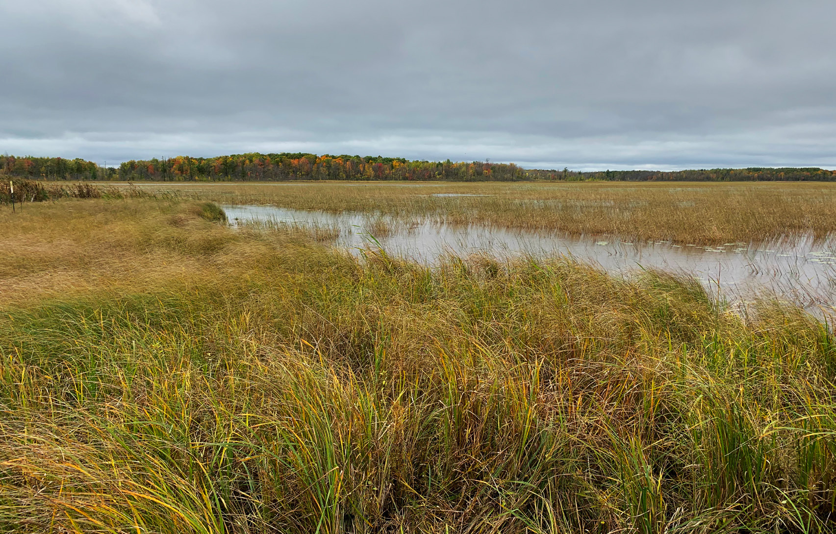 A wild rice easement in Crow Wing County within the Camp Ripley buffers area.
